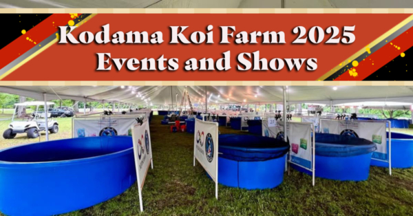 Koi Shows & Events Kodama Koi Farm is Attending