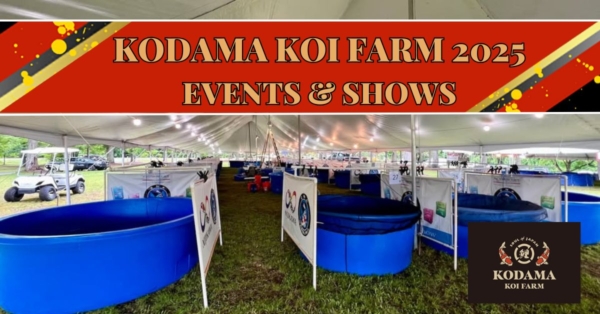 Koi Shows & Events Kodama Koi Farm is Attending